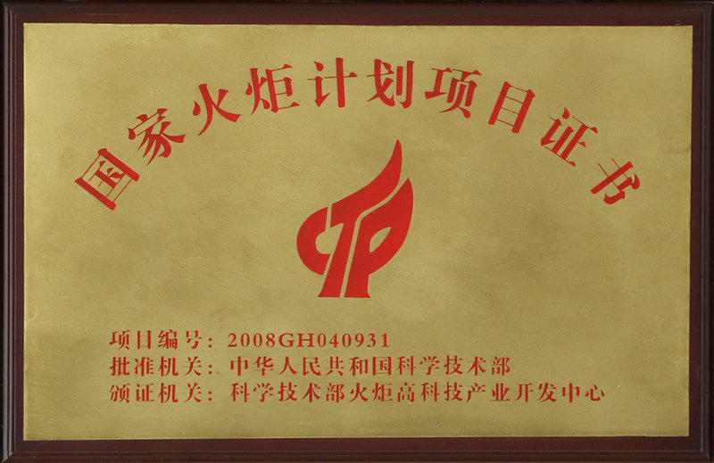 National Torch Program Project Certificate
